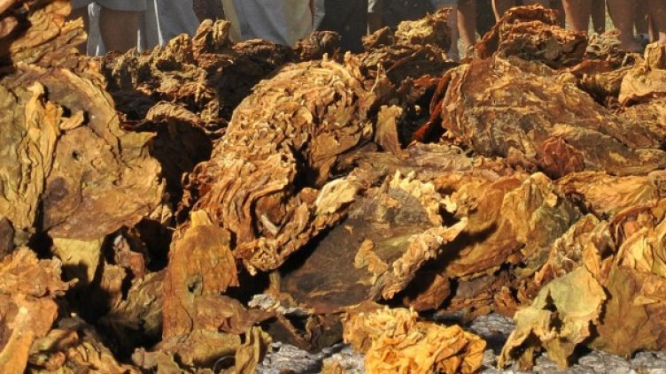 Снимка: Булфото