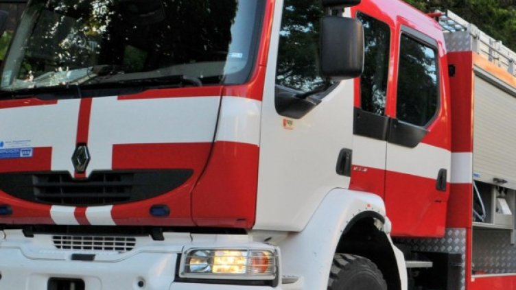 Снимка: Архив, Булфото