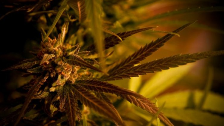 Снимка: Flickr.com