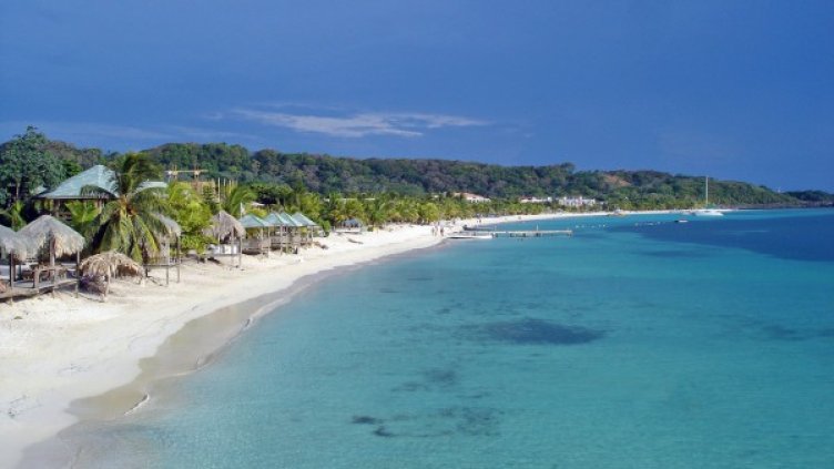 Снимка: freeimages