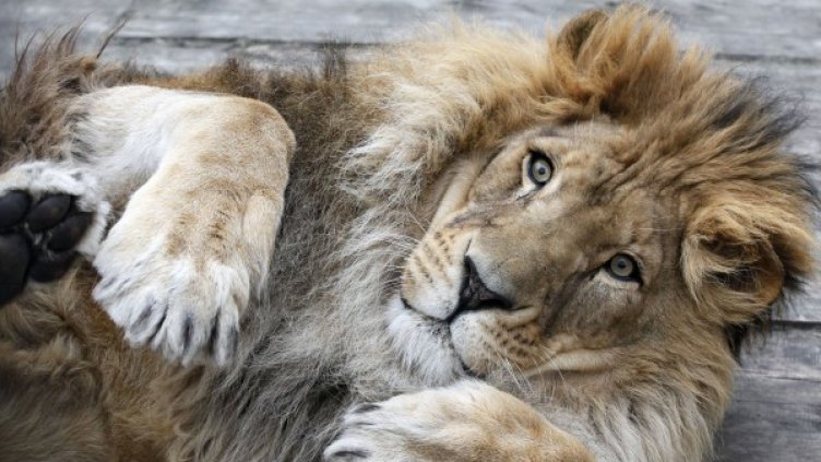 Снимка: Reuters, архив