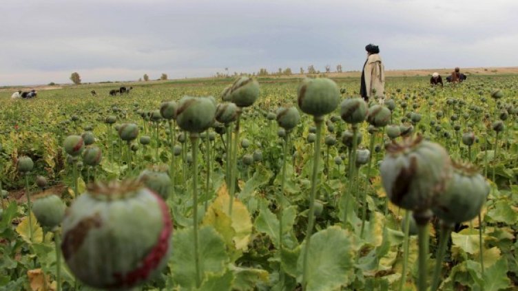 Снимка: архив, Reuters