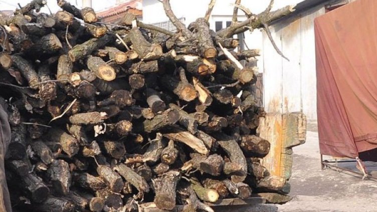 Снимка: Булфото, архив