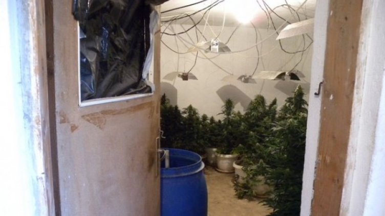 Снимка: МВР