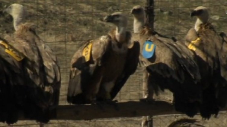 Снимка: кадър Bulgaria ON AIR