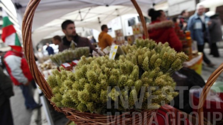 Снимка: Олег Попов/Dnes.bg