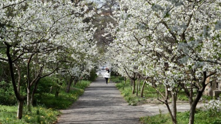 Снимка: Булфото