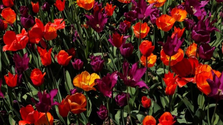 Снимка: архив Reuters