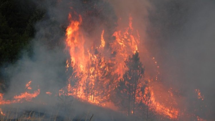 Снимка: Булфото, архив