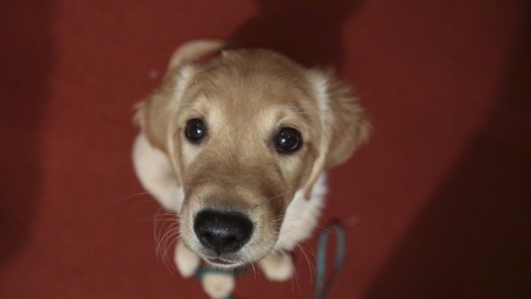 Снимка: архив, Reuters