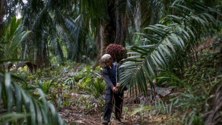 Снимка:  Reuters, архив