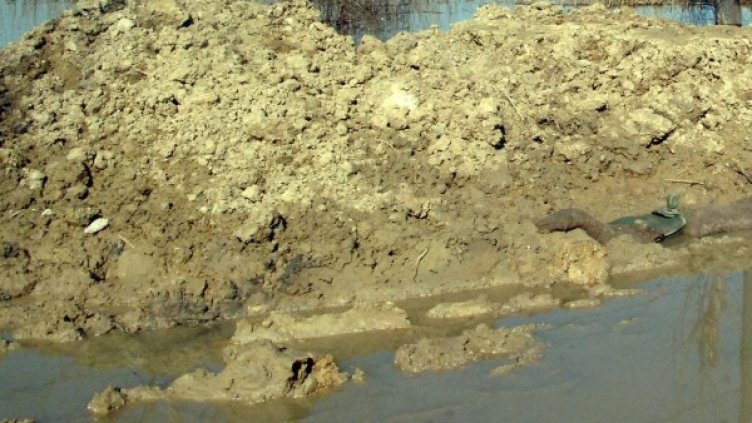 Архив: Булфото