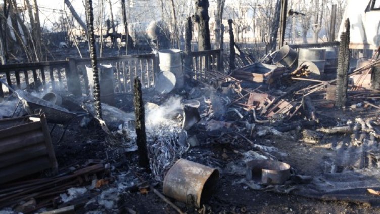 Снимка: Олег Попов, Dnes.bg