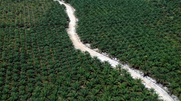 Снимка: Архив, Reuters