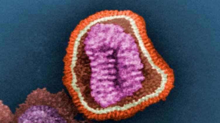 Снимка: архив, Reuters