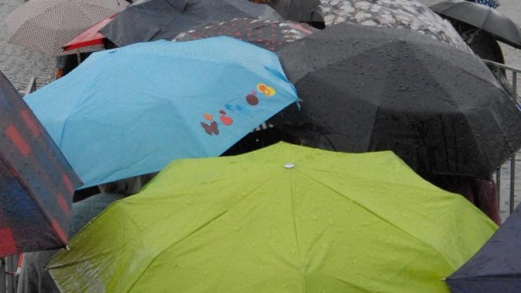 Архив: Булфото