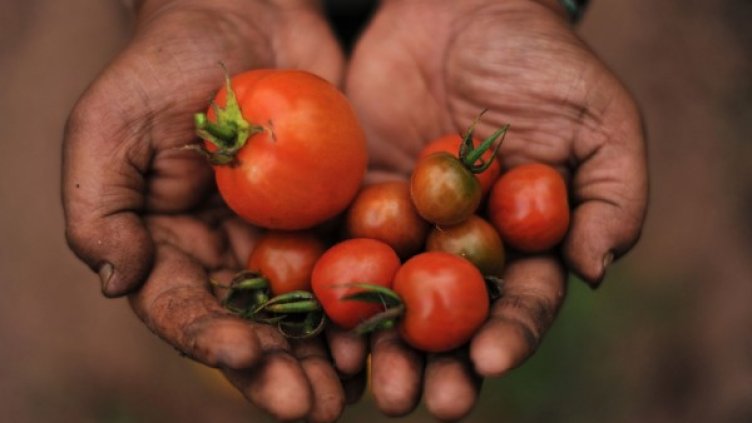 Снимка: flickr