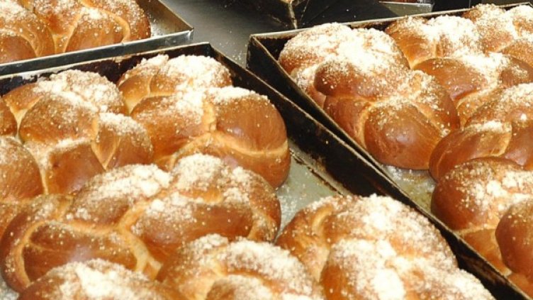 Снимка: архив, БулФото