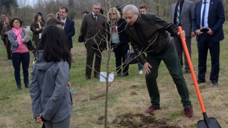 Герджиков сади дърво. Снимка: БТА