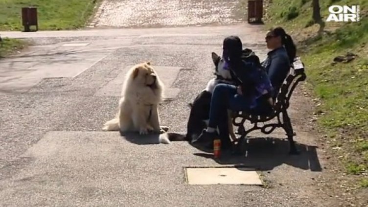 Снимка: bgonair.bg