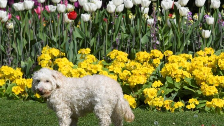 Снимка:  Reuters