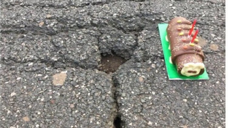 Снимка: Twitter