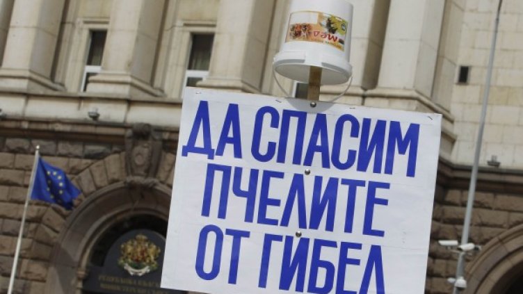 Пчелари на протест срещу никотиноидните пестициди