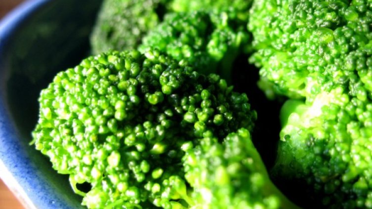 Снимка: freeimages