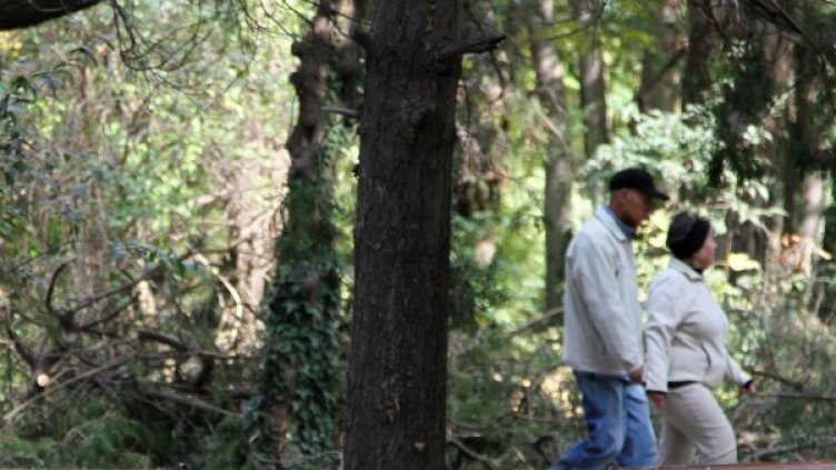 Снимка: Булфото, архив