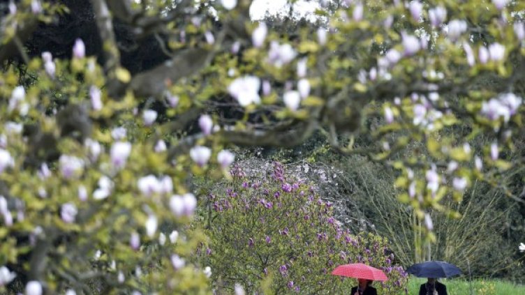 Снимка: Reuters, архив