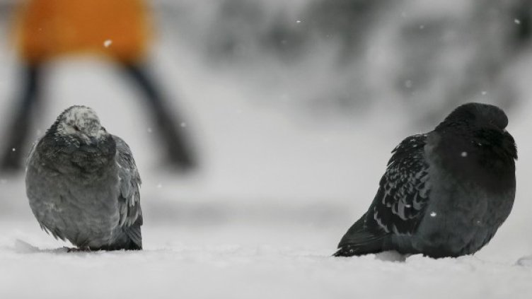 Снимка: Reuters, архив