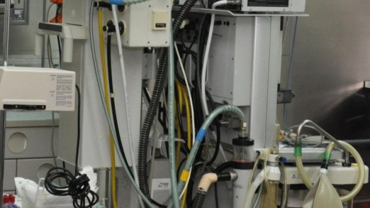 Снимка: архив, БулФото