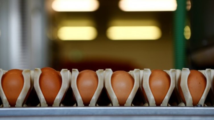 Снимка: Reuters, архив