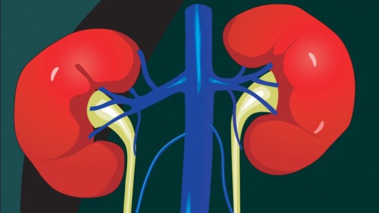 Снимка: freeimages