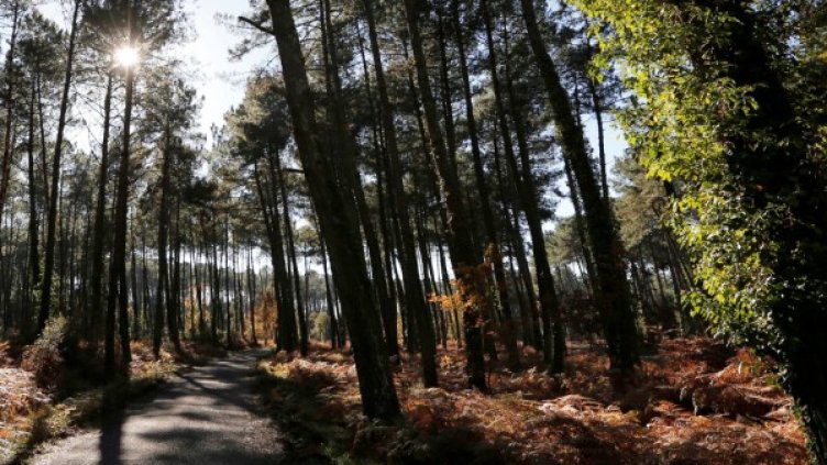 Снимка: архив, Reuters