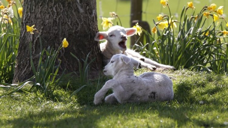 Снимка: Reuters, архив