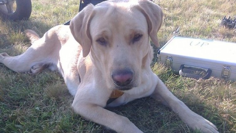 Снимка: Facebook