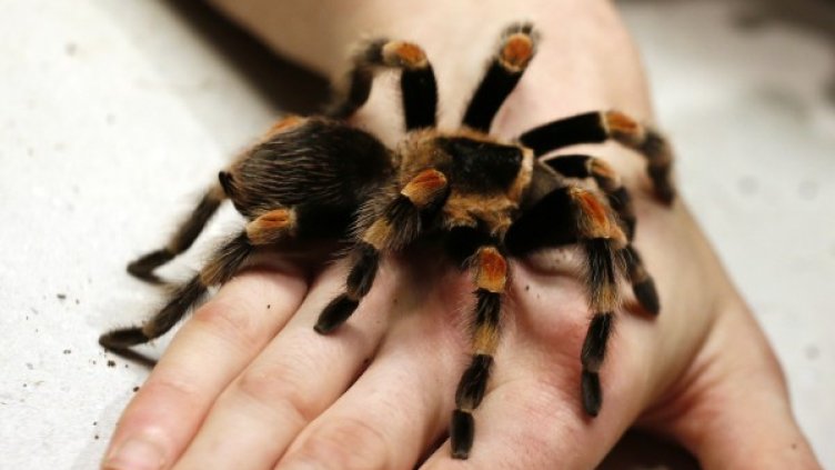 Снимка: архив, Reuters