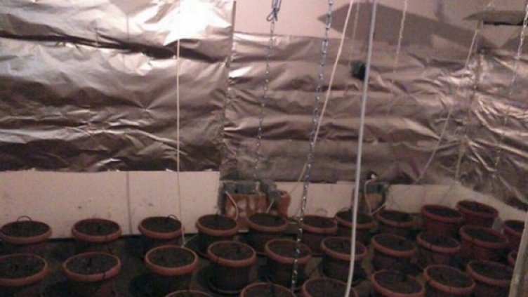 Снимка: МВР