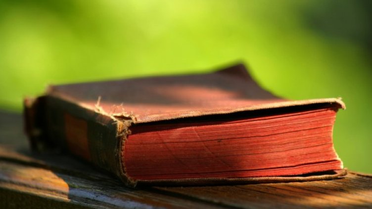 Снимка: freeimages