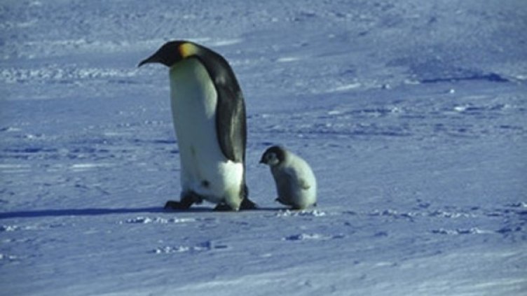 Снимка: Bulgaria ON AIR
