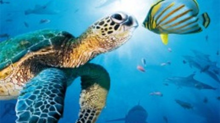 Снимка: Bulgaria ON AIR