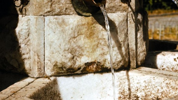 Архив: Булфото