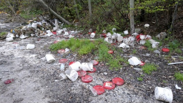 Снимка: Булфото