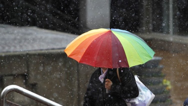 Снимка: Олеп Попов, Dnes.bg