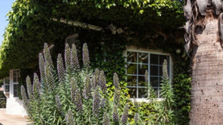 Снимка: Variety.com