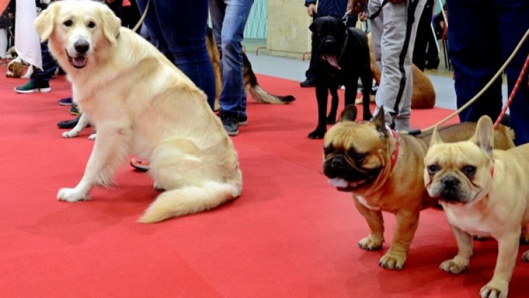 Снимка: Булфото, архив