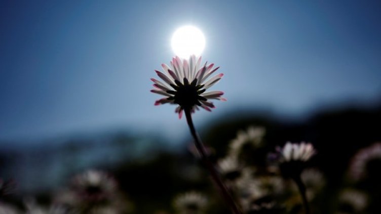 Снимка: Reuters, архив