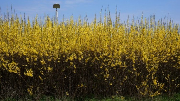 Снимка: архив "Булфото"