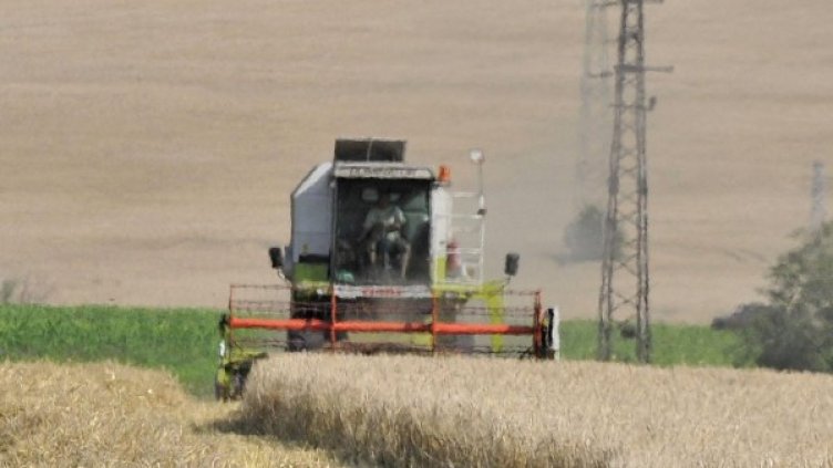 Снимка: архив, БулФото